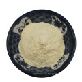 Hot sale factory directly supply probiotics powder in food grade Lactobacillus rhamnosus